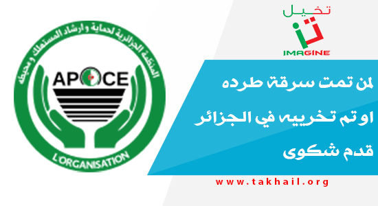 لمن تمت سرقة طرده او تم تخرييه في الجزائر قدم شكوى