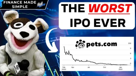 في مثل هذا اليوم شركة Pets.com تختفي في أغرب قصة للنجاح والفشل 1في تاريخ الإنترنت