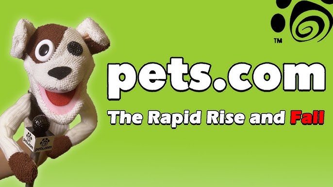 Pets.com: The internet's strangest rise and fall story