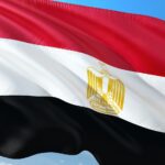 التموين تطلق كاري أون للتوسع في الخدمات الرقمية