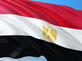 التموين تطلق كاري أون للتوسع في الخدمات الرقمية