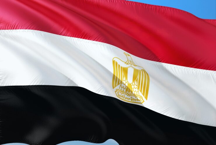 التموين تطلق كاري أون للتوسع في الخدمات الرقمية